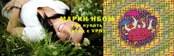 стаф Магас