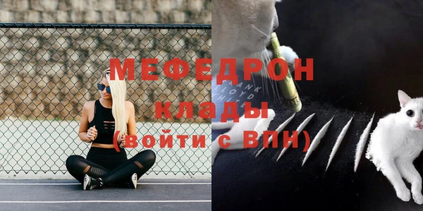 стаф Магас