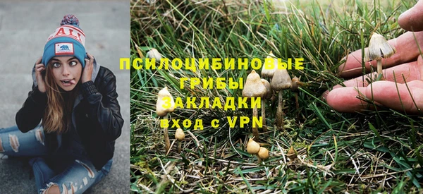 стаф Магадан